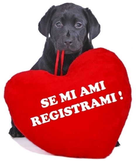 Installazione Microchip e registrazione anagrafe canina - Clinica Veterinaria