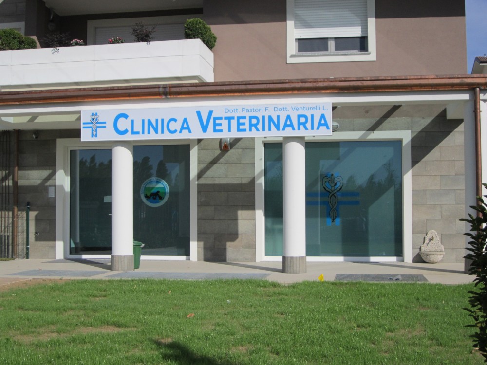  - Clinica Veterinaria