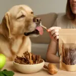 Snack naturali per animali domestici: i benefici poco noti che aiutano il benessere quotidiano