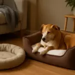 Quando cambiare la cuccia al cane? Il momento ideale che migliora riposo e comportamenti